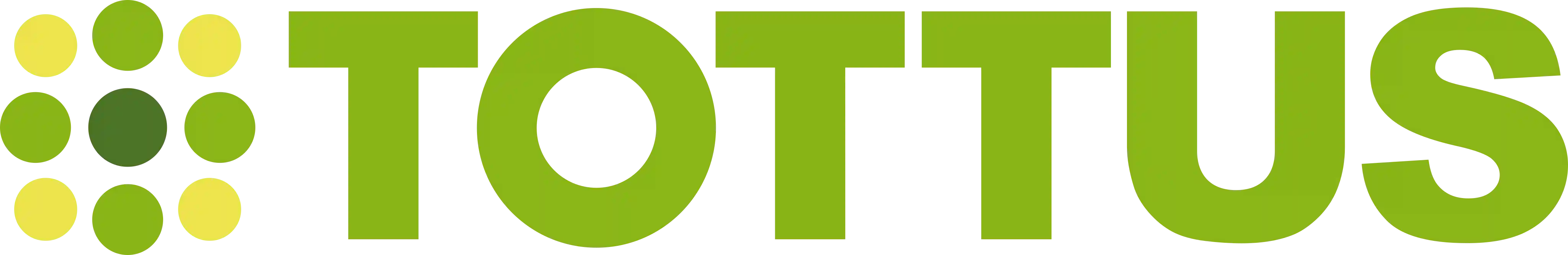 Tottus — Cliente de Speedy Soluciones